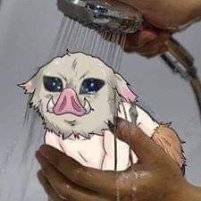 Pokémon Aesthetics tweet media