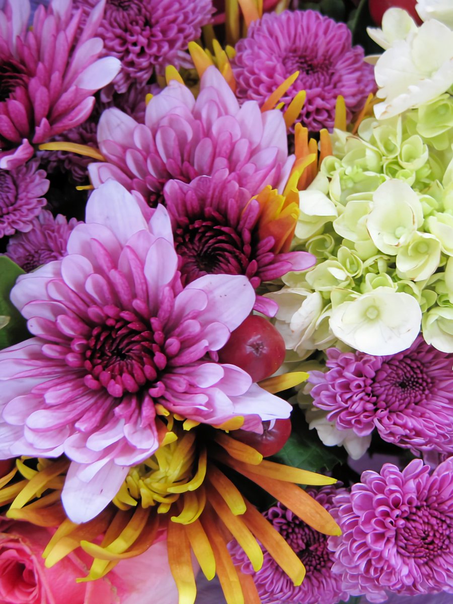 Mrs. Sizzle tweet media