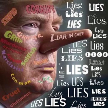 KhaOmm's tweet image. Absolutely #Trump is a #Liar🤥🤥🤥🤥🤥🤥