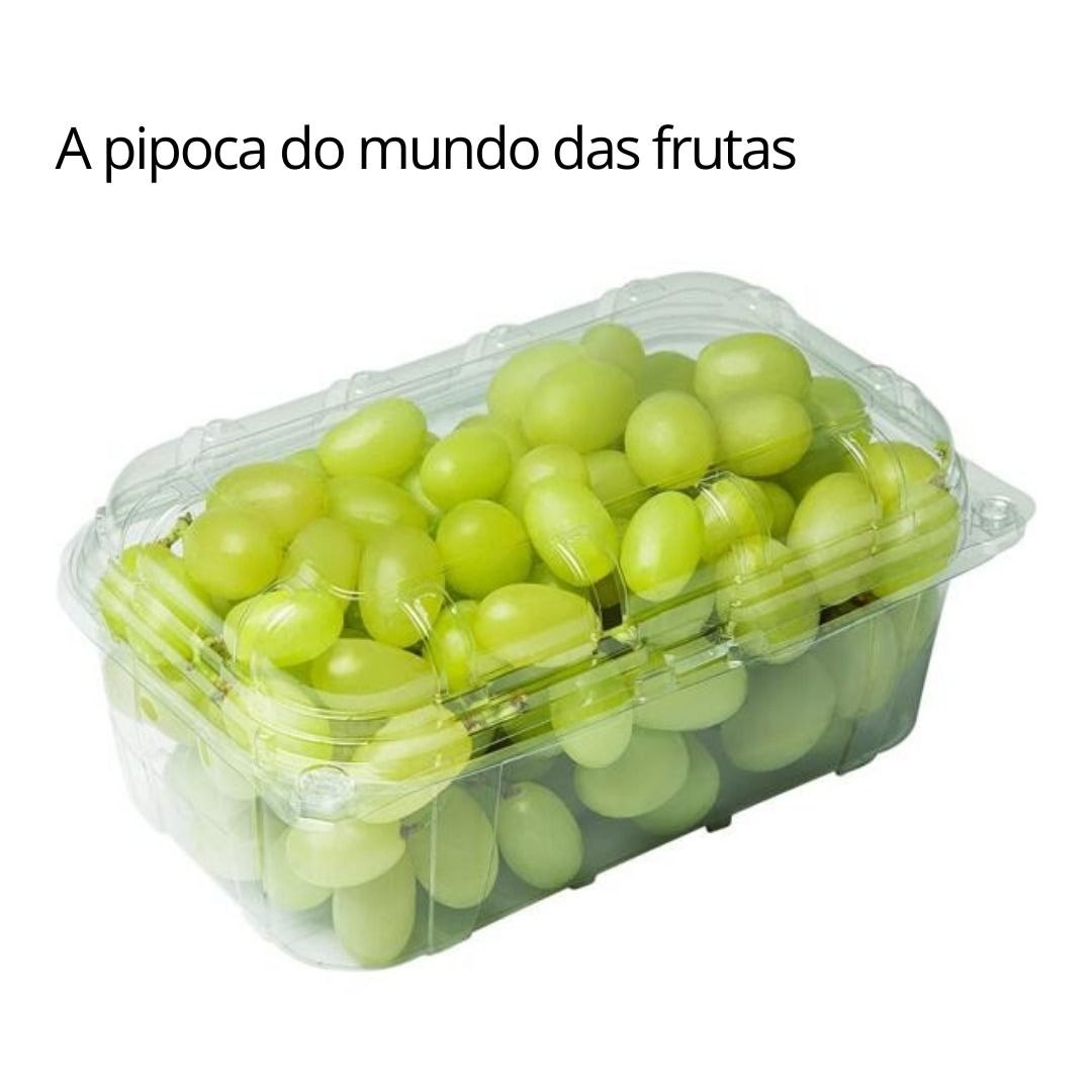 Faz sentido?