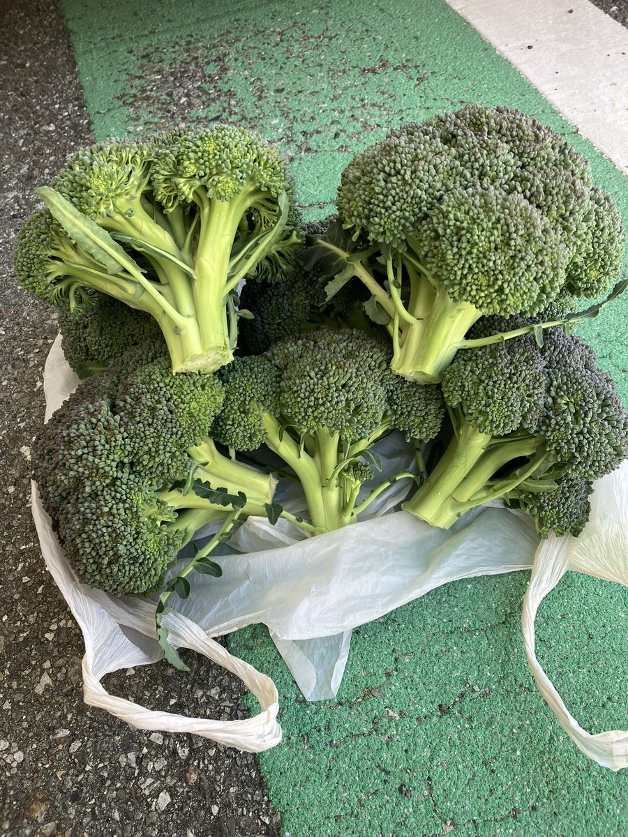 「「「「「「「「ザコのパワーをいくら吸収したとて、この俺を超えることはできぬぅ!!」」」」」」」」 