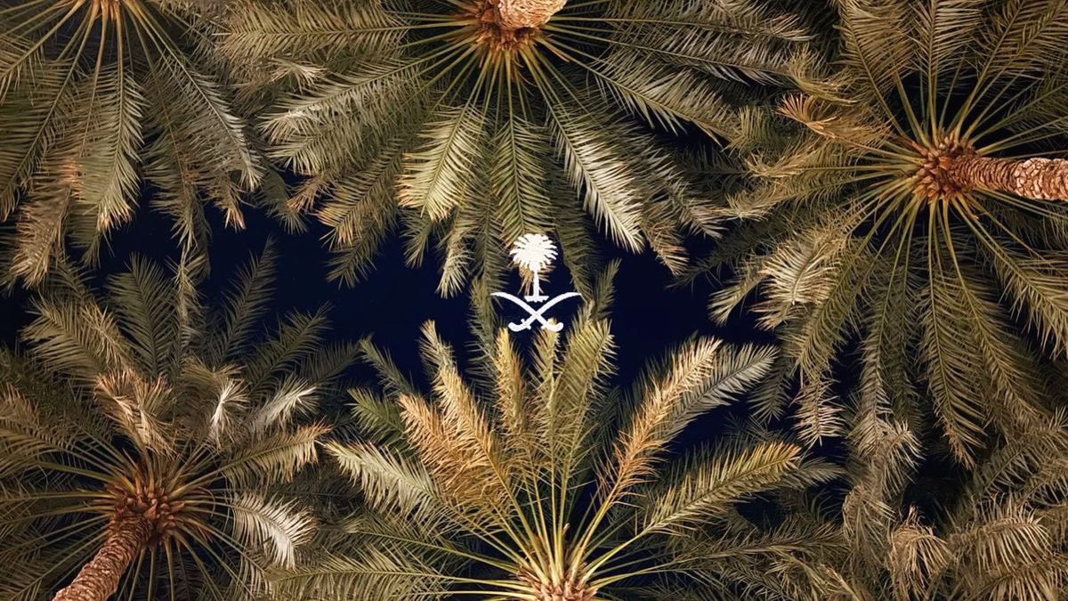 لو تامرين الرمل عنّك نلّمه
ولو تعطشين الدم لك منا مسكوب
❣️🇸🇦❣️🇸🇦❣️🇸🇦❣️🇸🇦❣️🇸🇦❣️🇸🇦