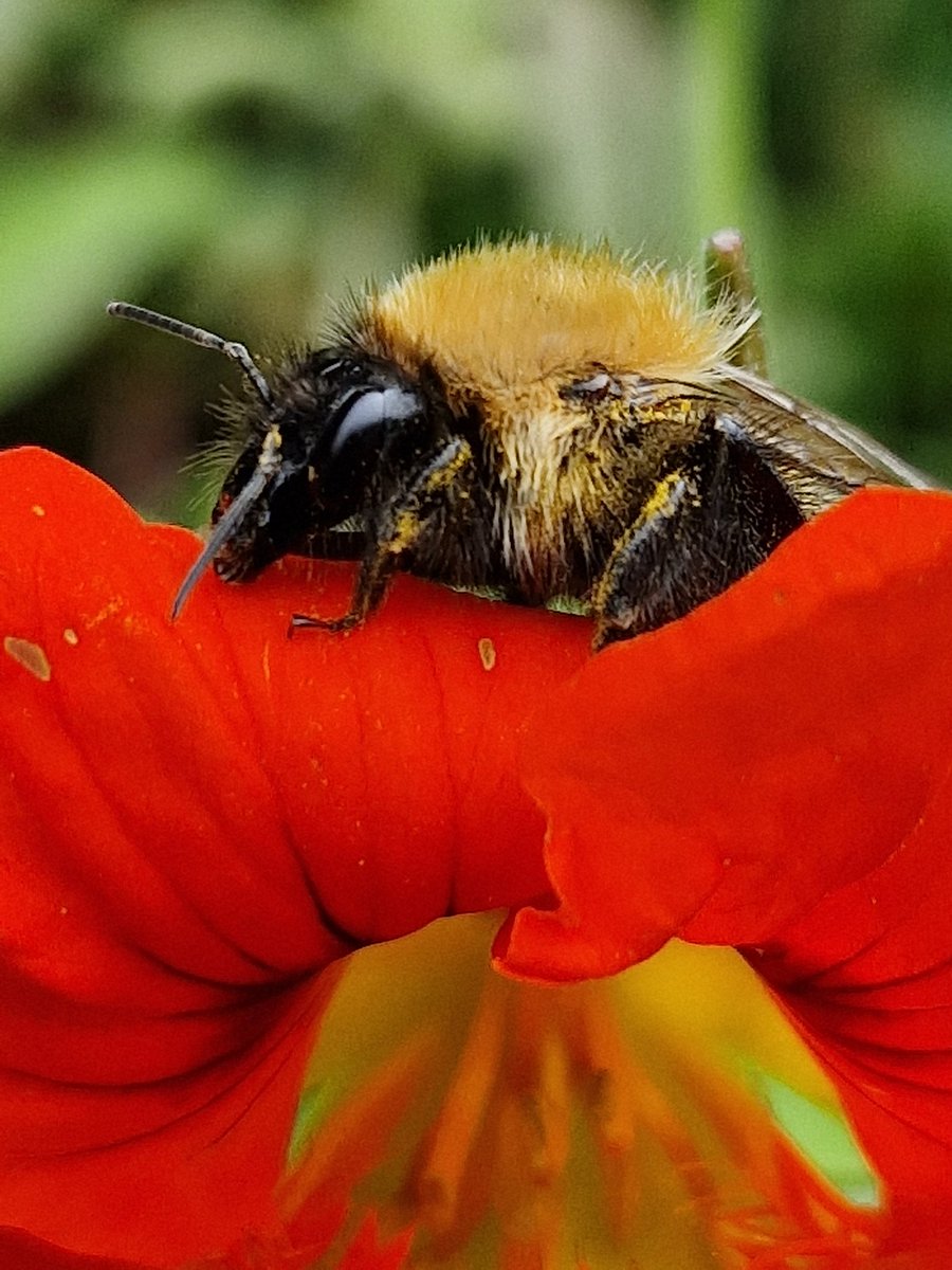 Ahkku 🇧🇻 🕯🌻 tweet media