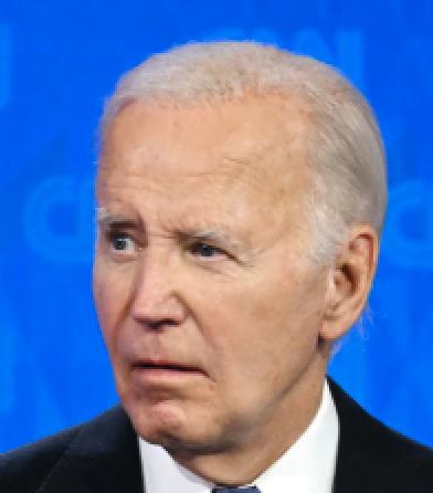 One Nation tweet media