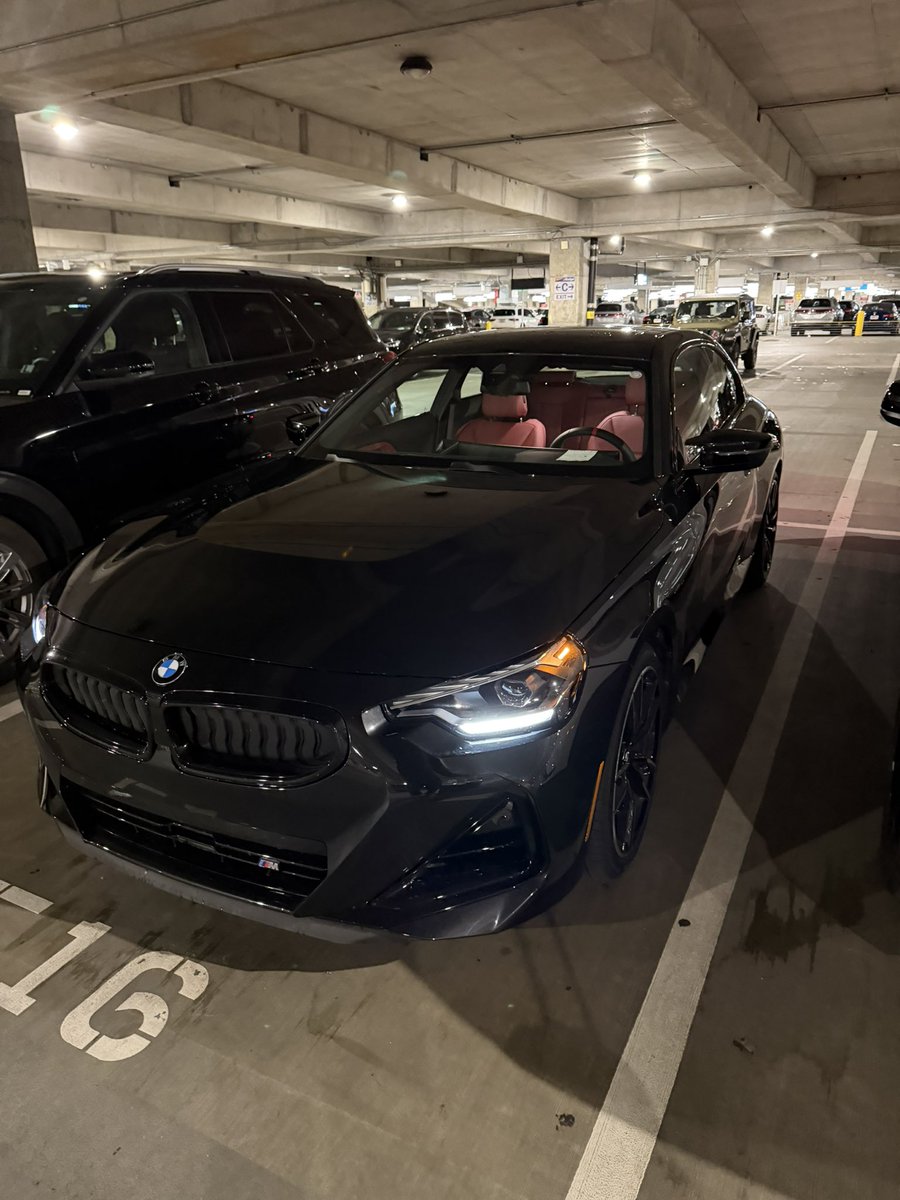 Taylor Wright tweet media