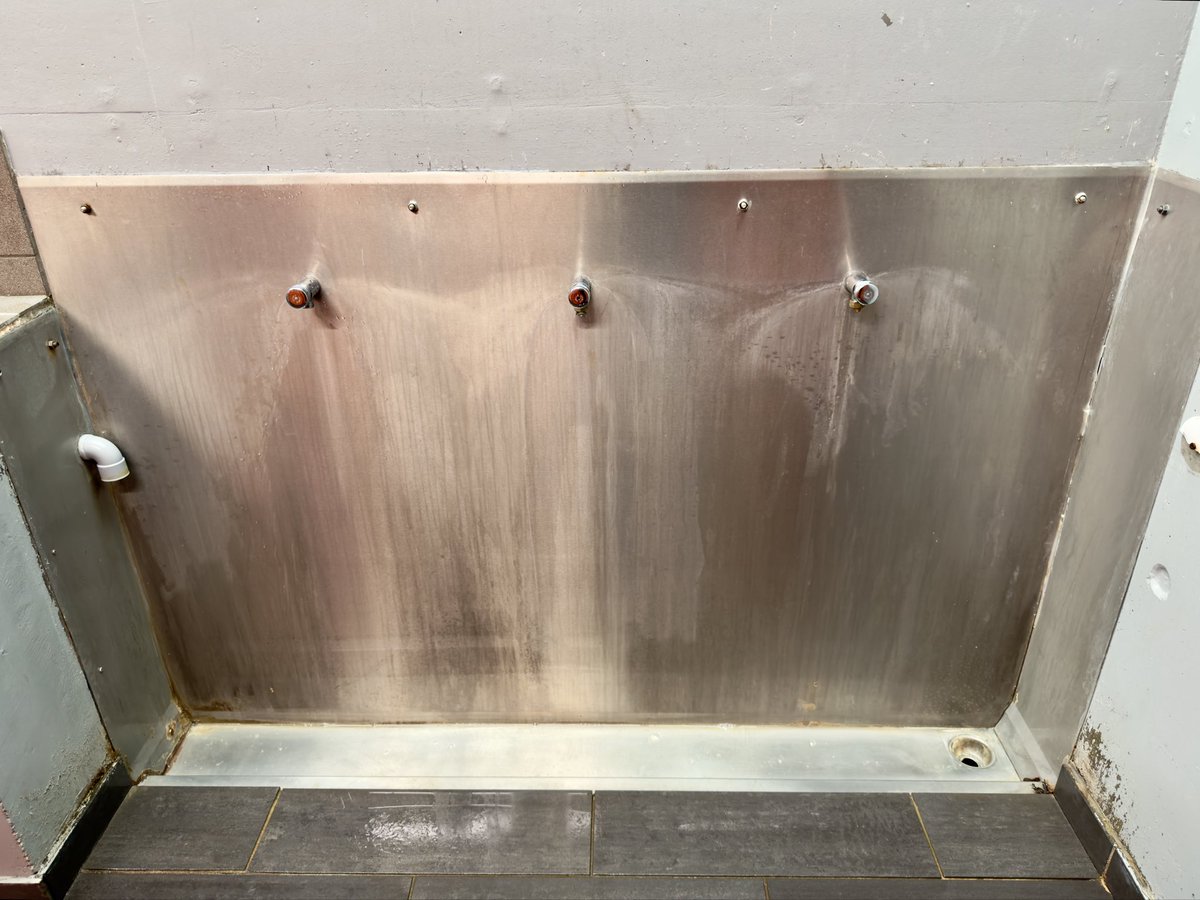 ausbootpig tweet media