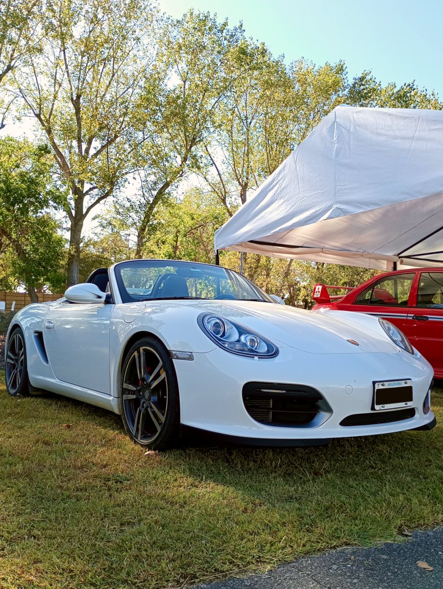 YellowbirdYT tweet media