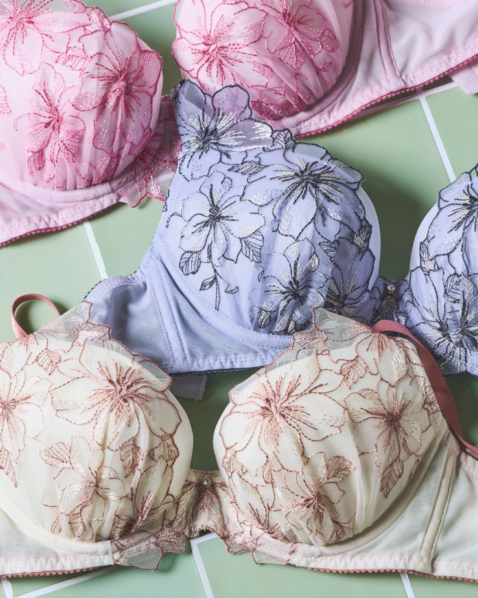 AMPHI／アンフィ tweet media