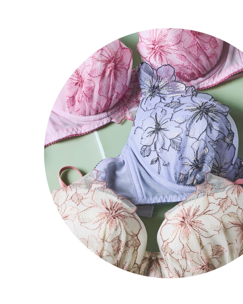 AMPHI／アンフィ tweet media