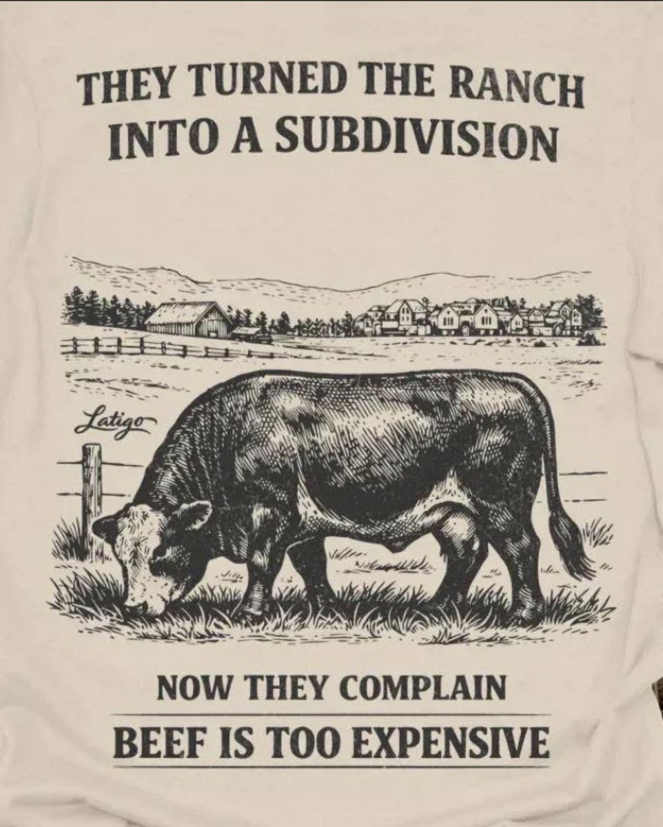 7 Springs Ranch tweet media