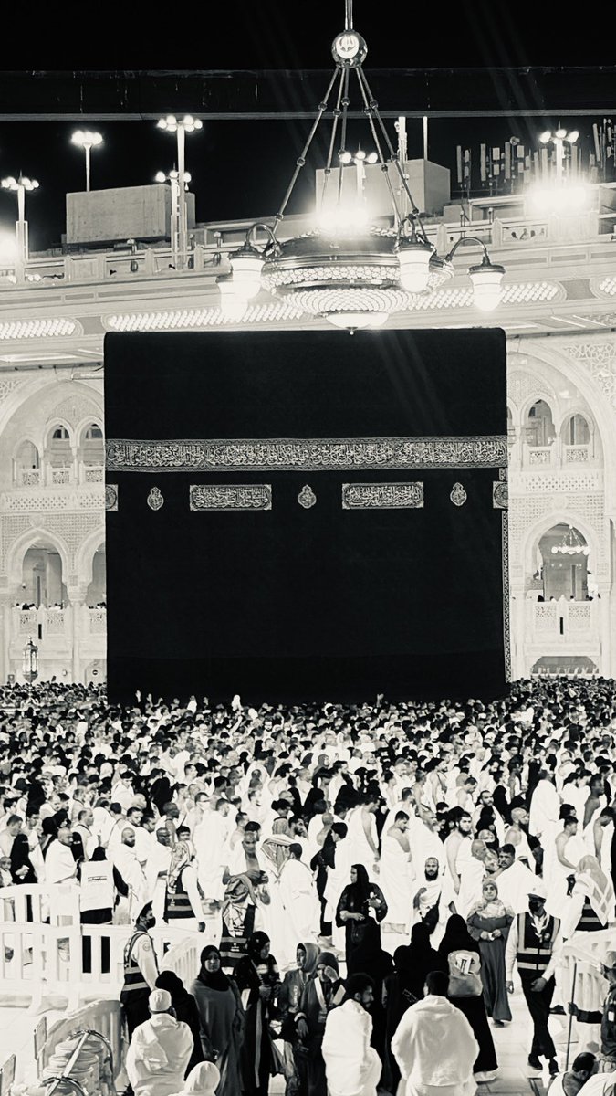 ثامر tweet media