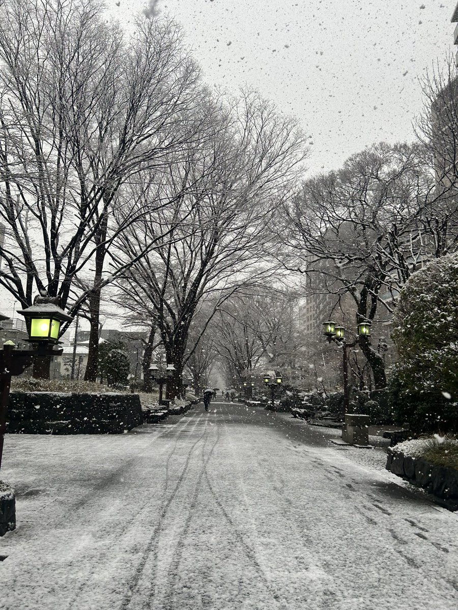 bsearchsnd's tweet photo. めっちゃ雪でびっくりです！
参道が綺麗でした☃️❄️

今日も頑張りましょ〜 https://t.co/PXonXYkk5N