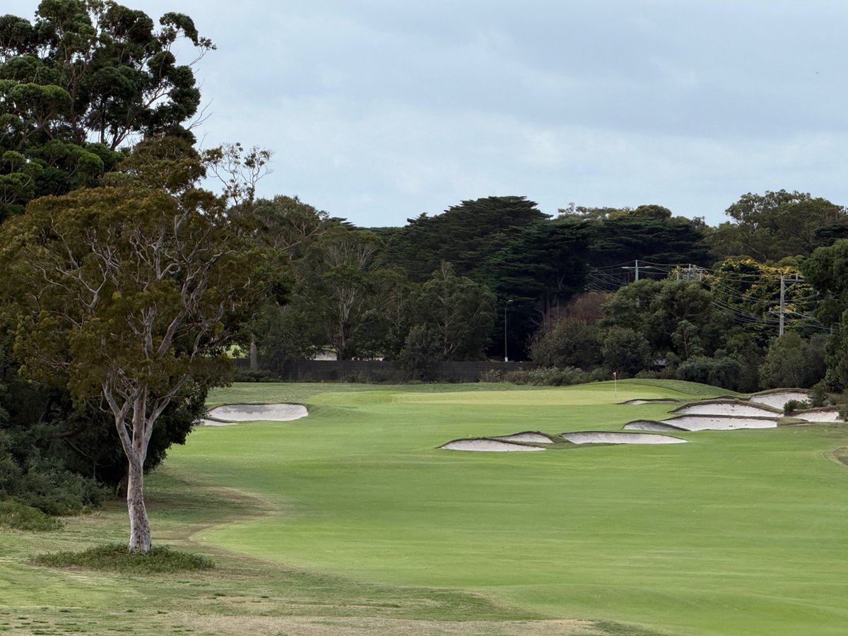 Rick Golfs tweet media