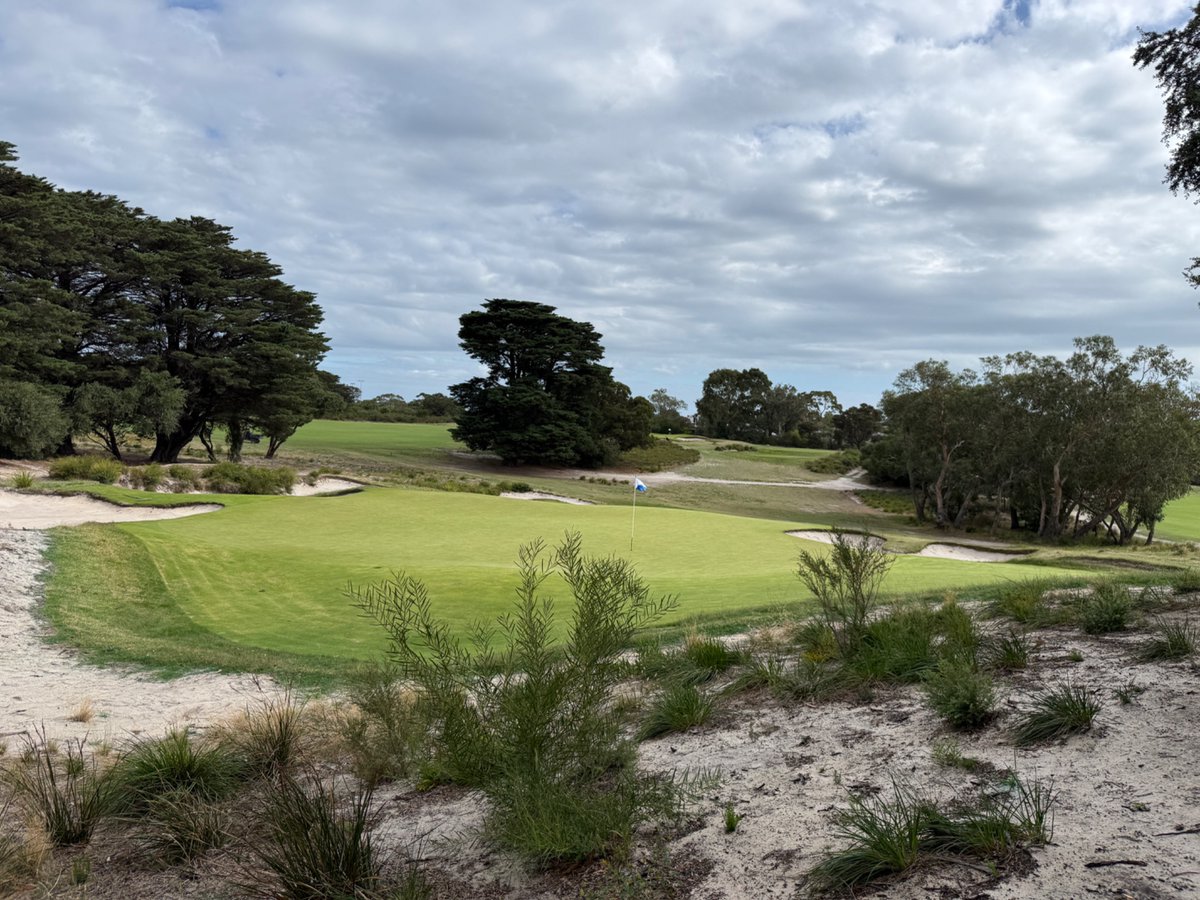 Rick Golfs tweet media