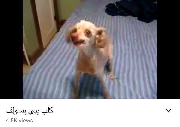 𝐋𝐞𝐨𝐧𝐚𝐫𝐝 tweet media