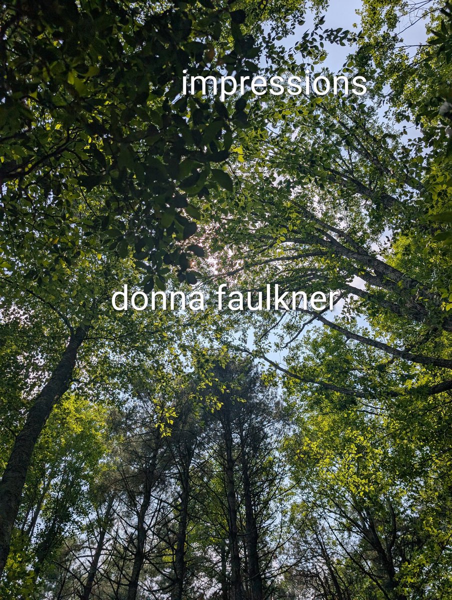 Shawn Scott Smith tweet media