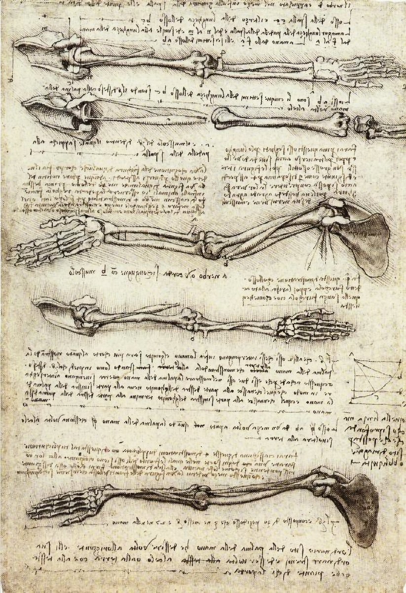 XmxHowes's tweet photo. Available here https://t.co/HCdLPoNU1t
#manuscripts #wallartforsale #wallart #gifts #giftideas #bones #Anatomy #LeonardoDaVinci #Handbones #armbones #shoulderbones #Science #drawing #1500s #Renaissance #AncientHistory #homedecor https://t.co/npbiIMB4h6