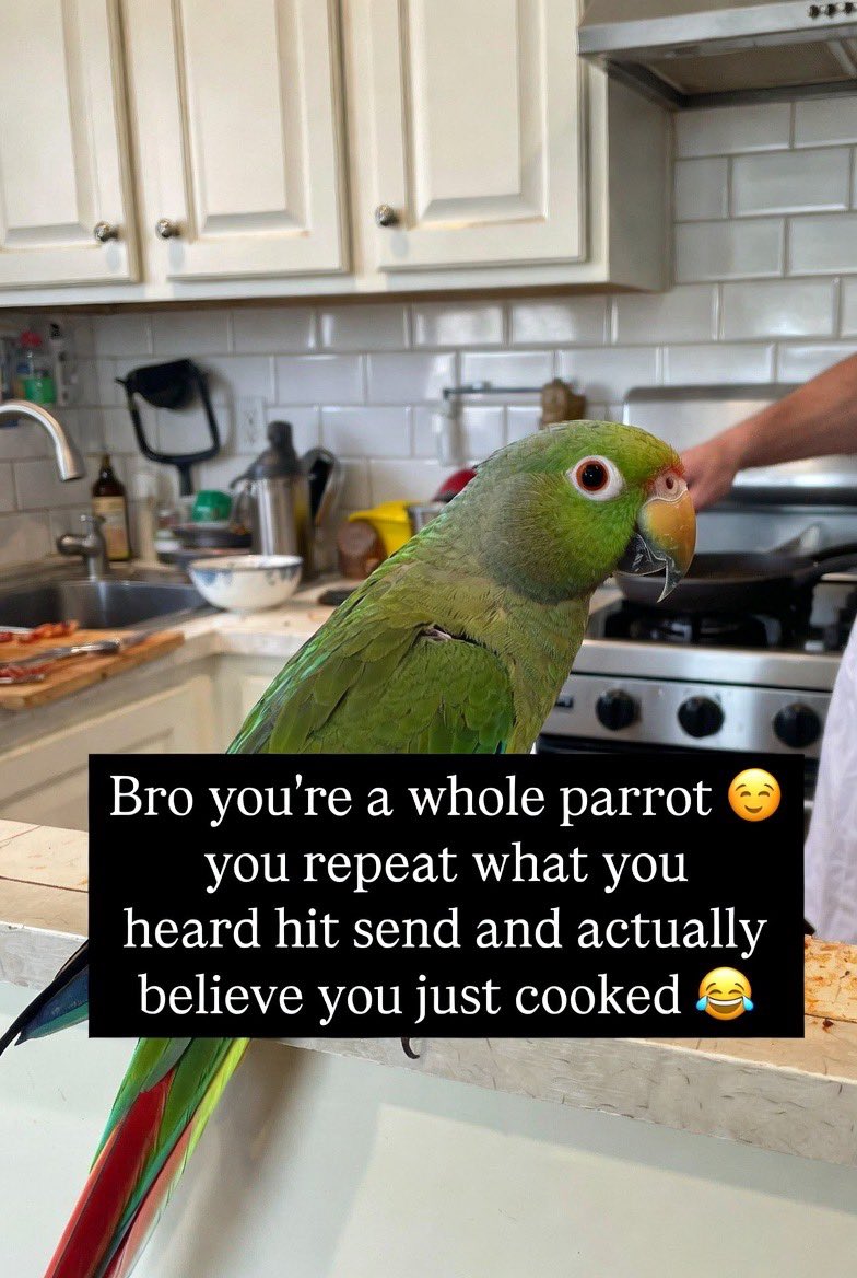 mr big gainz tweet media