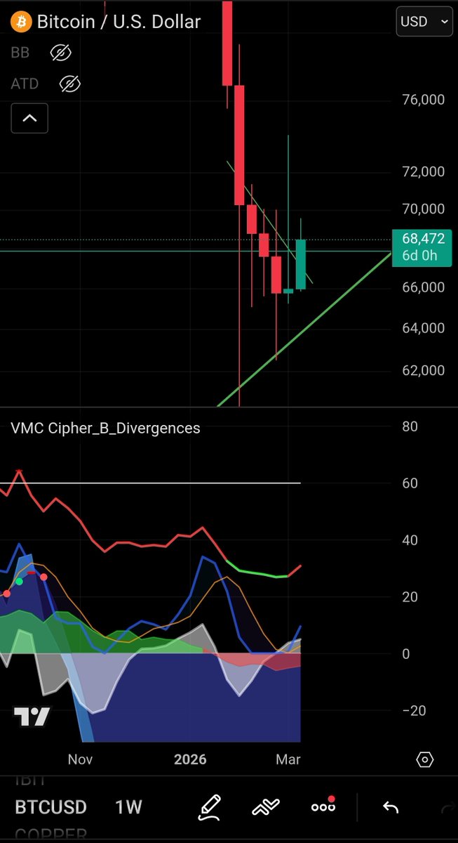 T. Cryptus tweet media