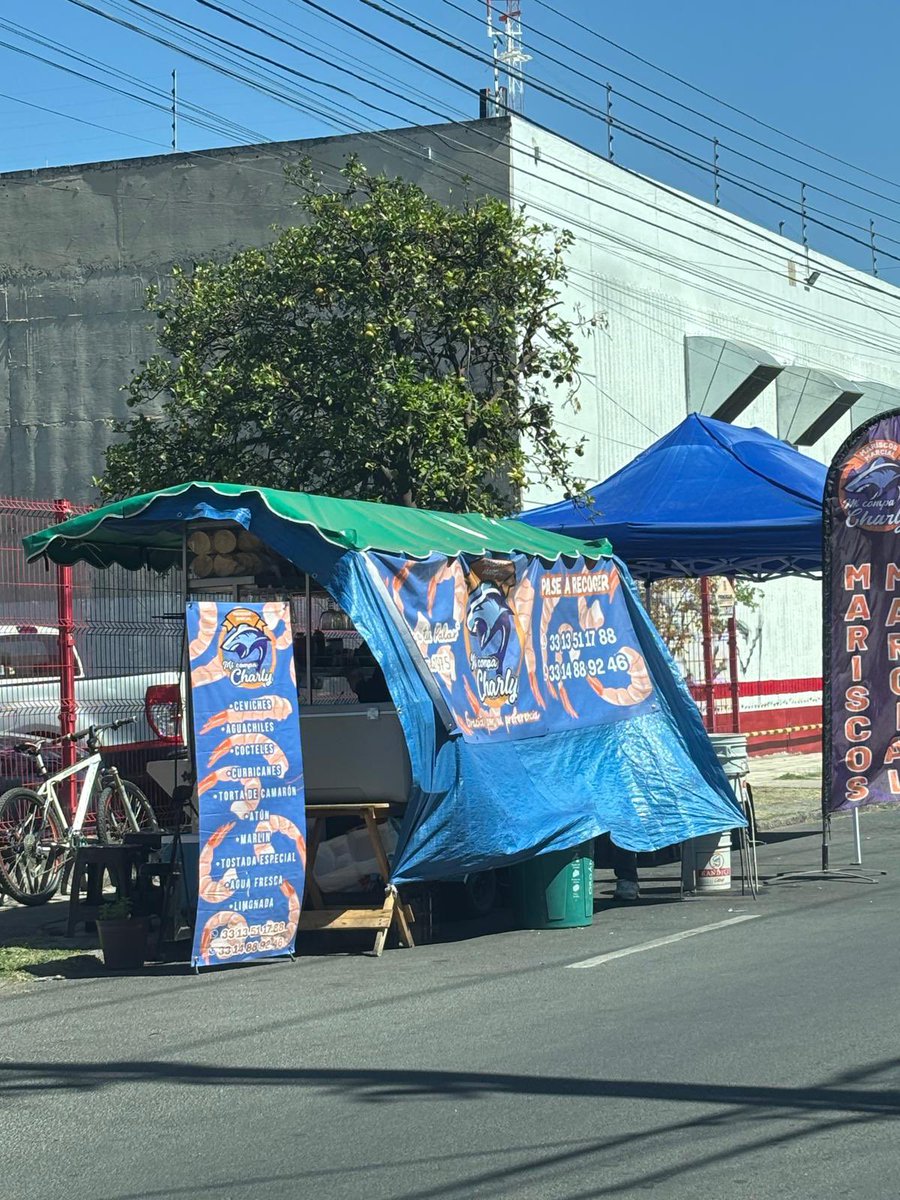 Roshiusca tweet media