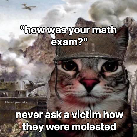 LiterallyMeCats (@literallymecats) on Twitter photo 