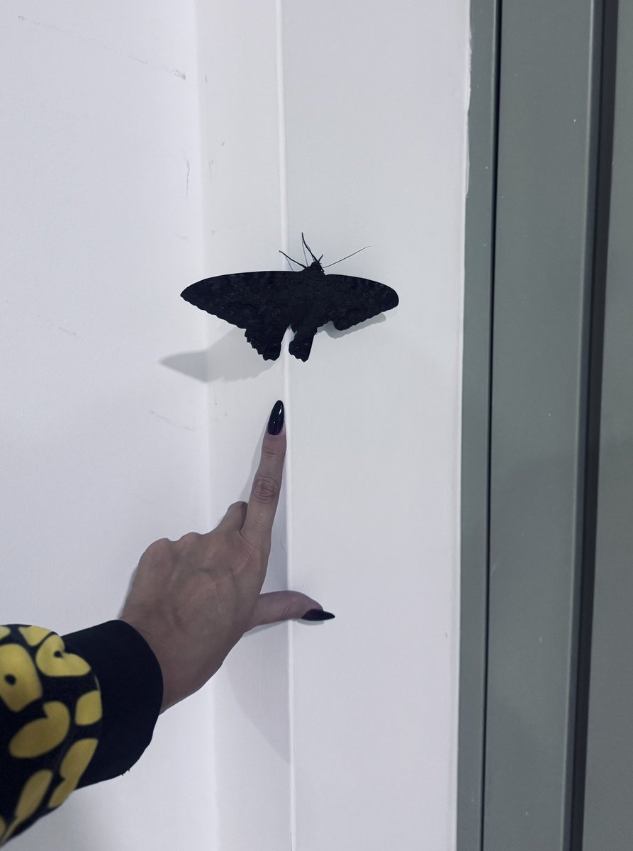 🇺🇦Julia Pod 🇺🇦 tweet media