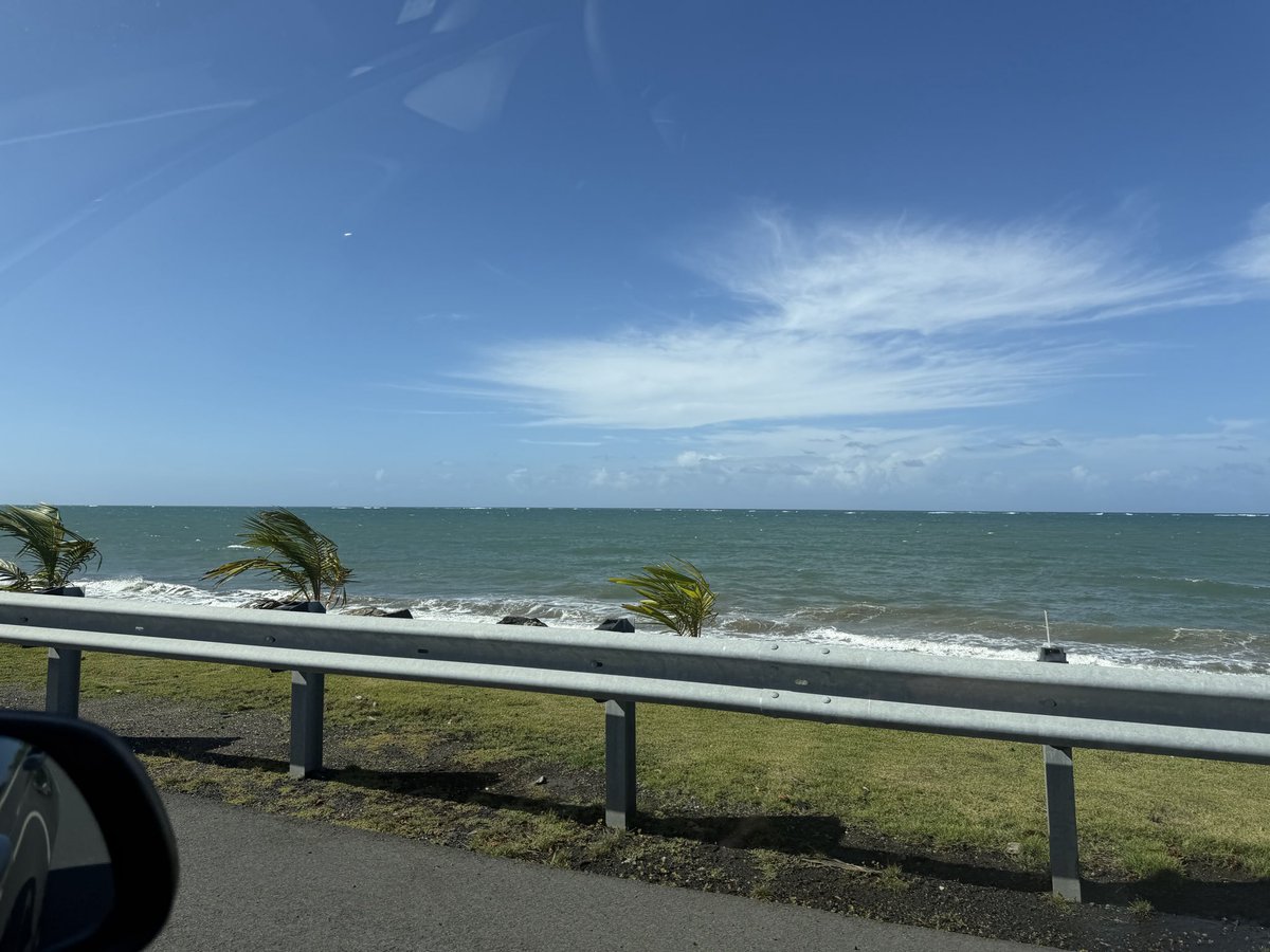 Hernando tweet media