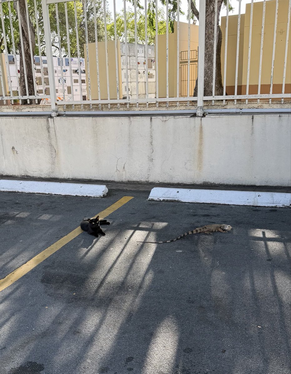 Hernando tweet media