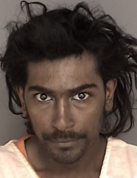 Todd Guild tweet media