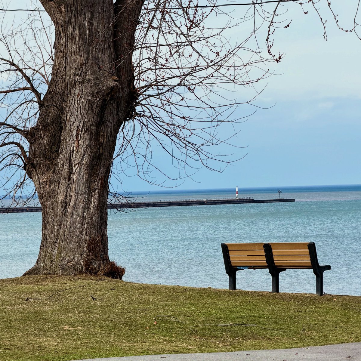 This Is Rochester! tweet media