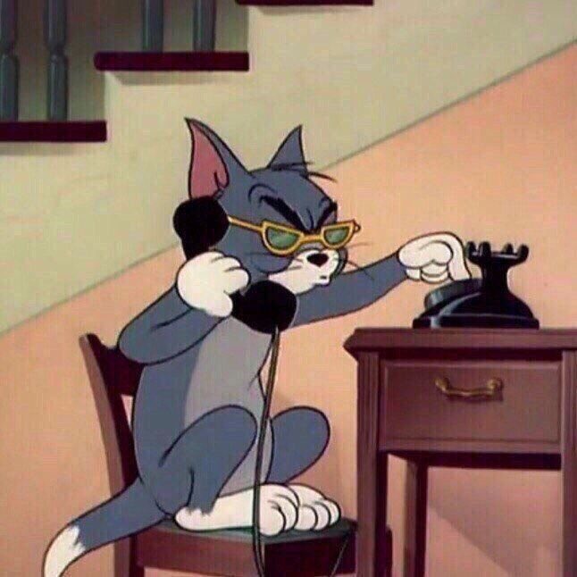 SJM picking up the phone to call a German book dealer to tell them the 411, the hot gossip, the real truth of the matter so they can get the tropes on their listing right she really just cares like that 💖