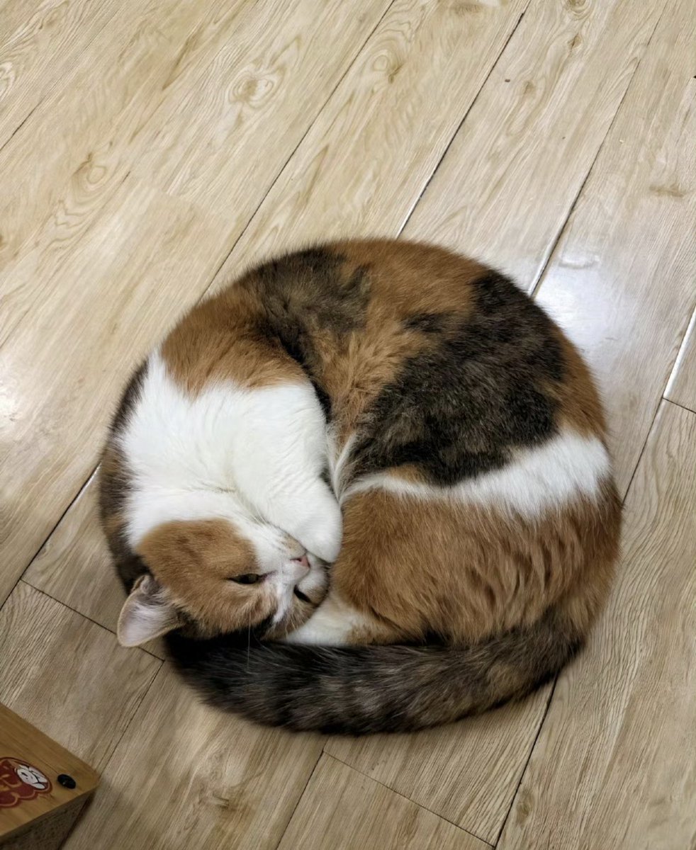 Kathleen tweet media