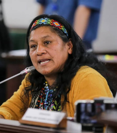 Dos versiones del mismo problema pero en diferente color.