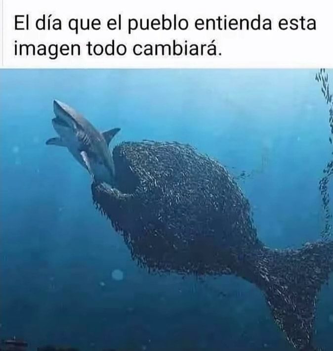 Rincón Curioso tweet media