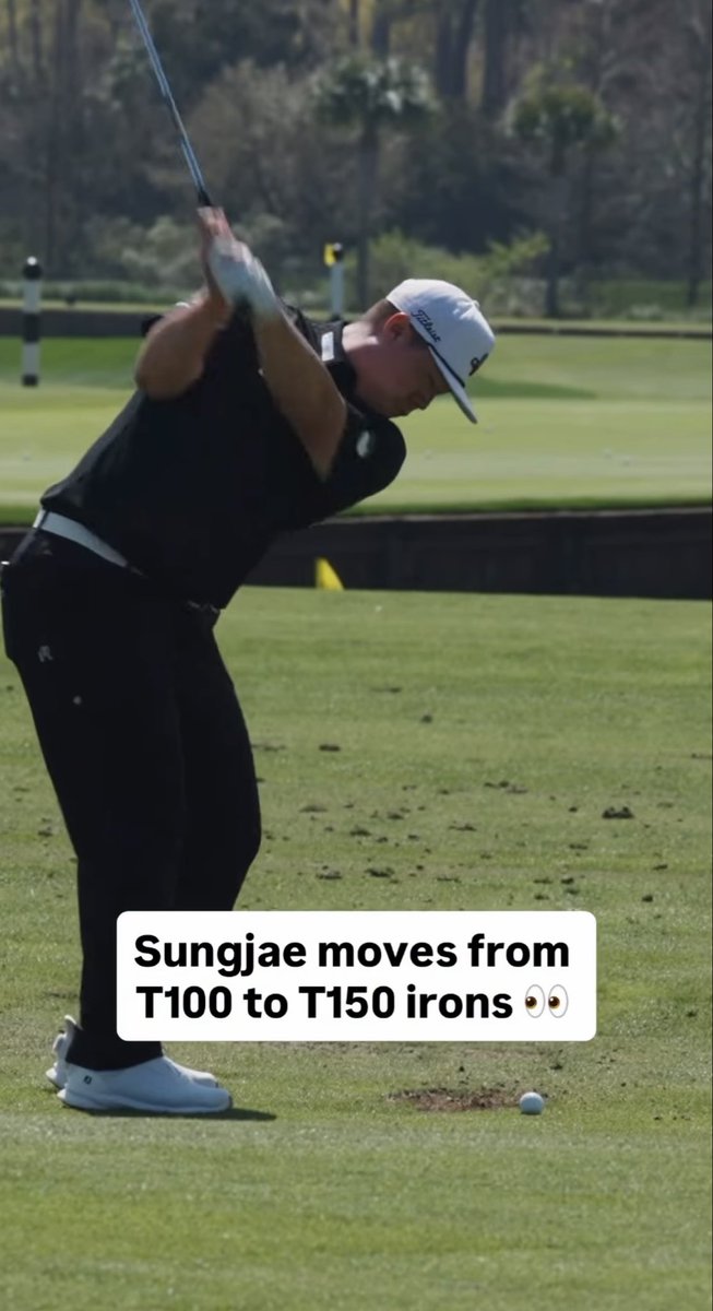 Flatiron Flusher tweet media