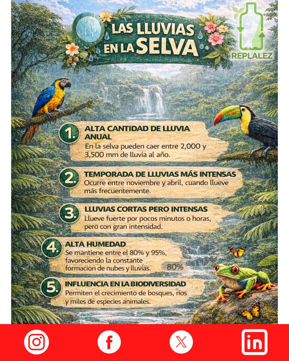 Replalez tweet media