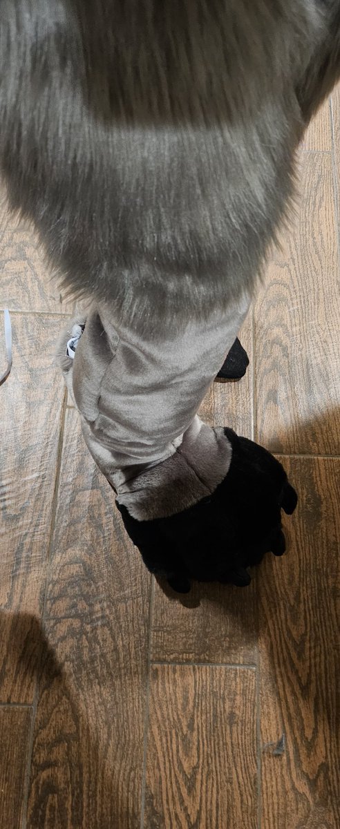 Fidget The Bat🦇 tweet media