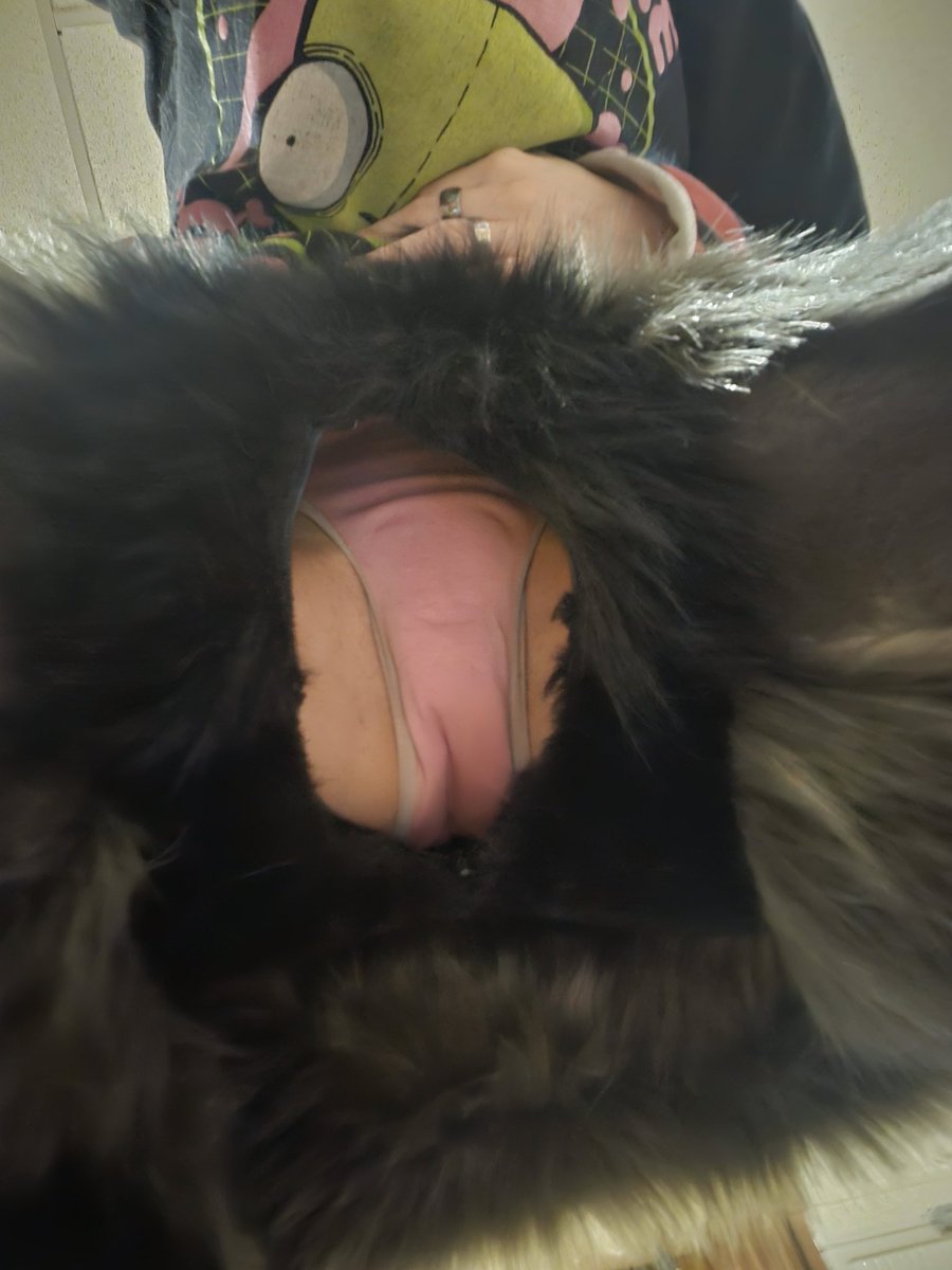 Fidget The Bat🦇 tweet media