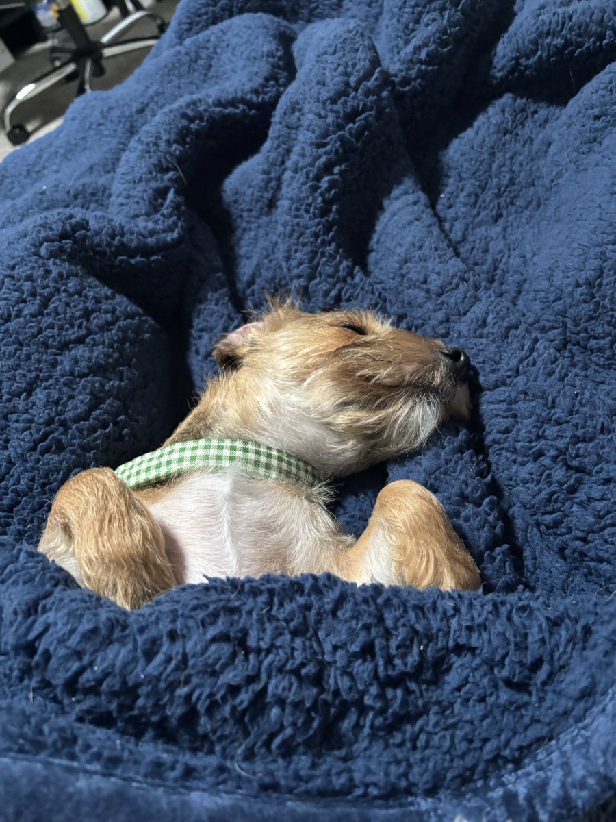 oMethodic tweet media