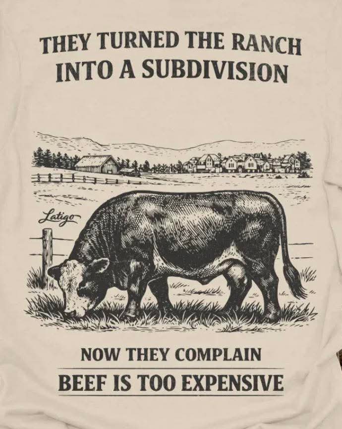 oldcowhand2 Jesse tweet media