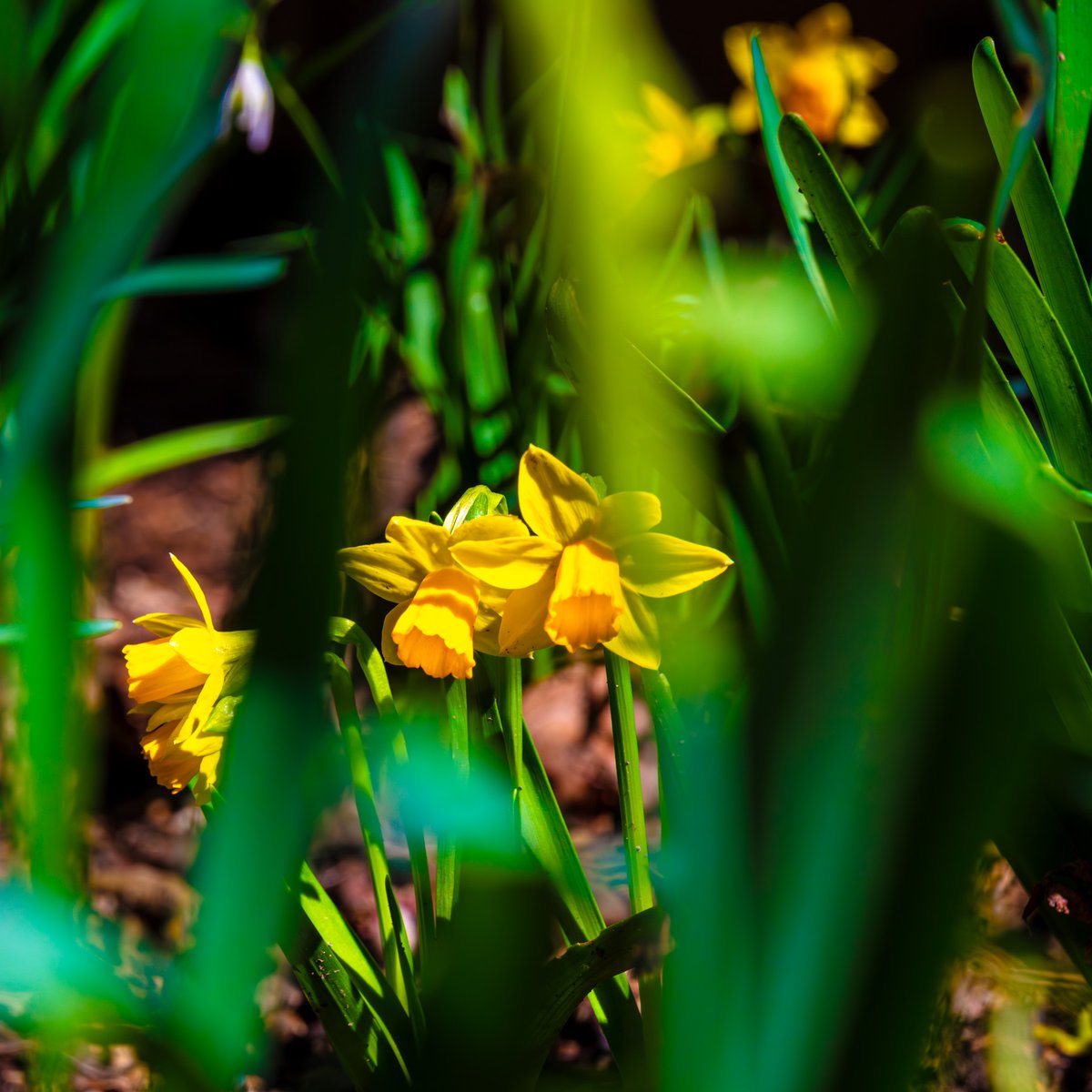 Andy Spessard tweet media