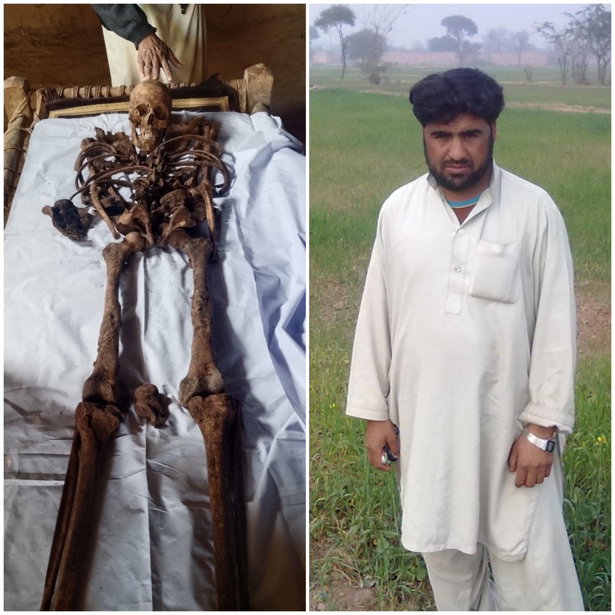 PTM Dir Official tweet media