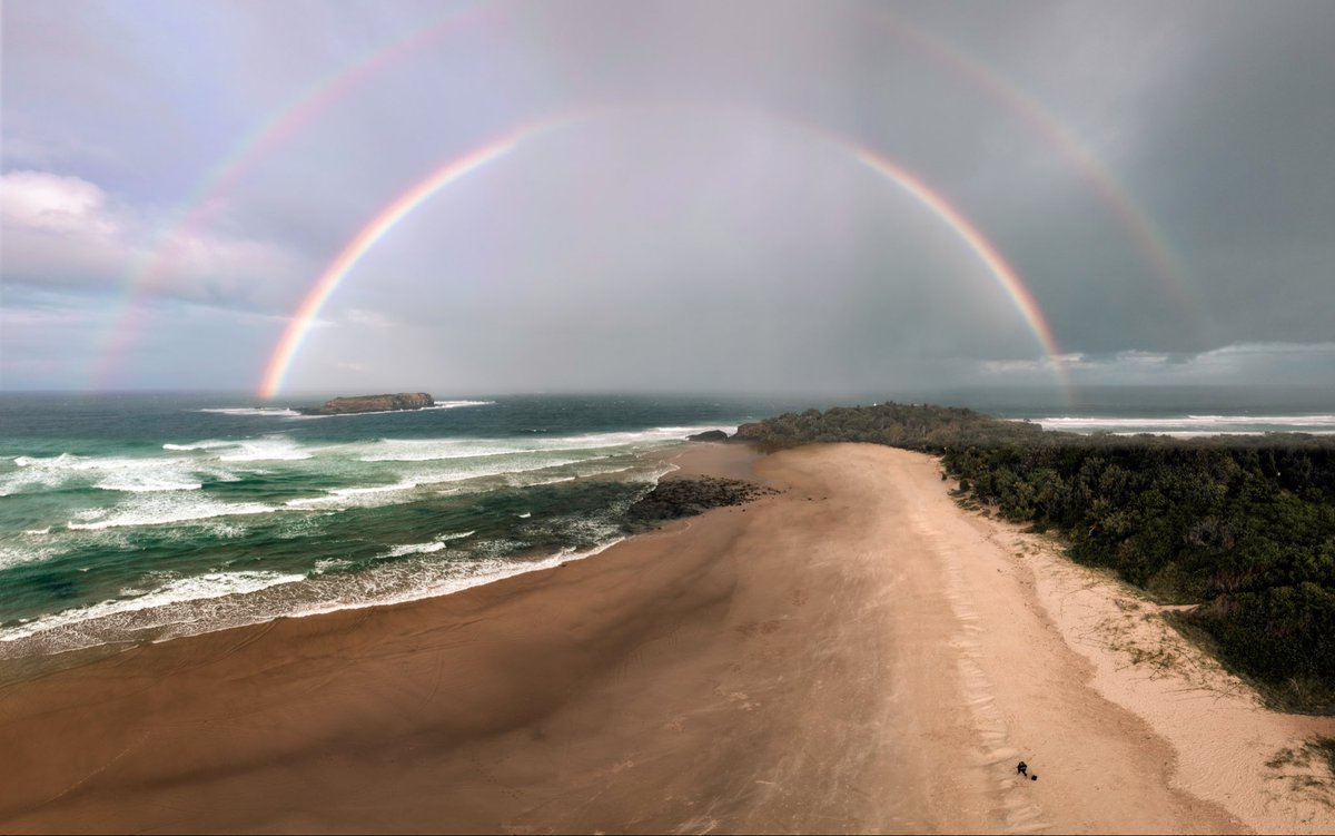 in_focus_studios tweet media