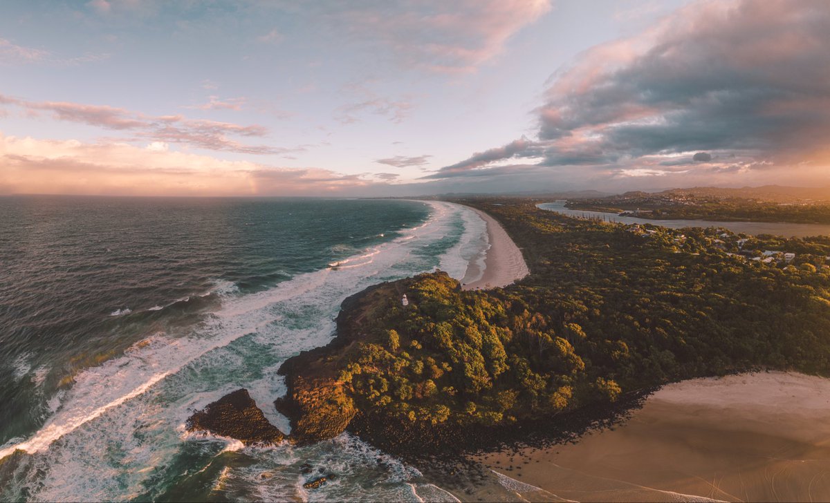 in_focus_studios tweet media