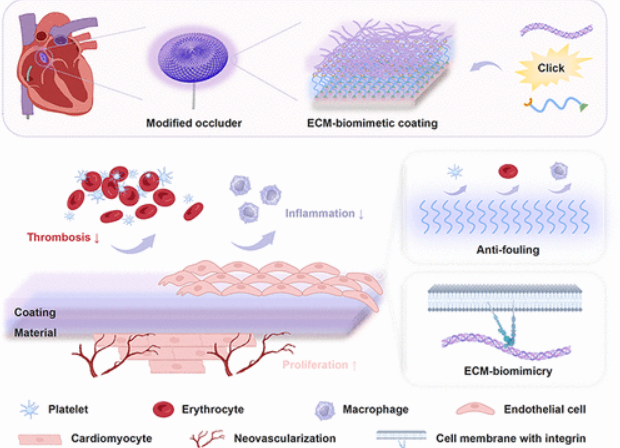 Extracellular Matrix News tweet media