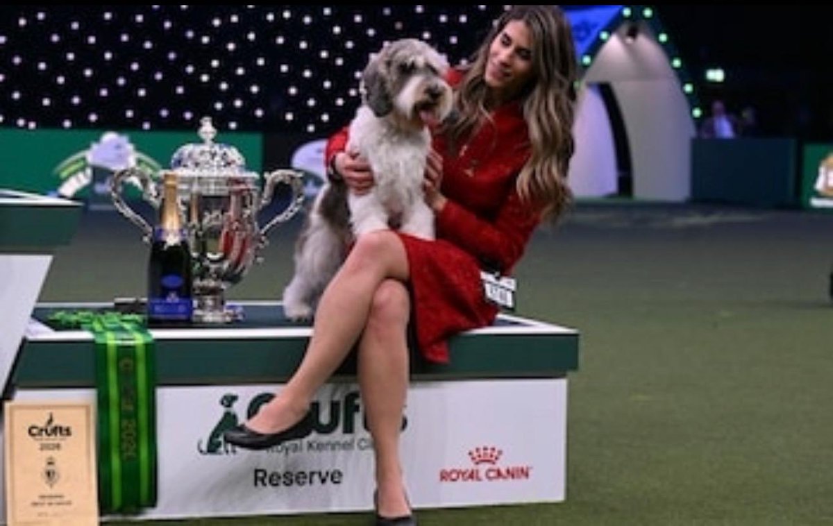 Davor Ljubanović tweet media