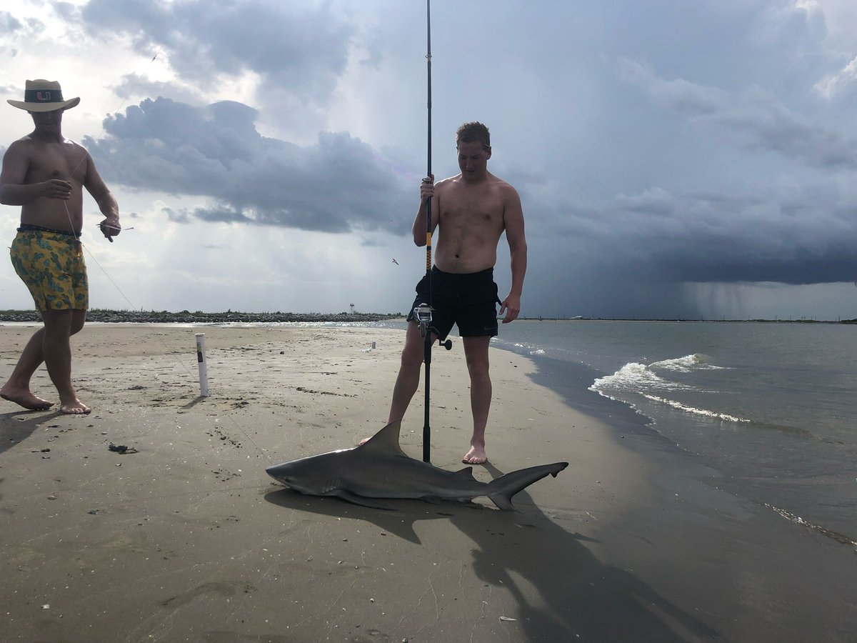 Chadwick Bailey tweet media