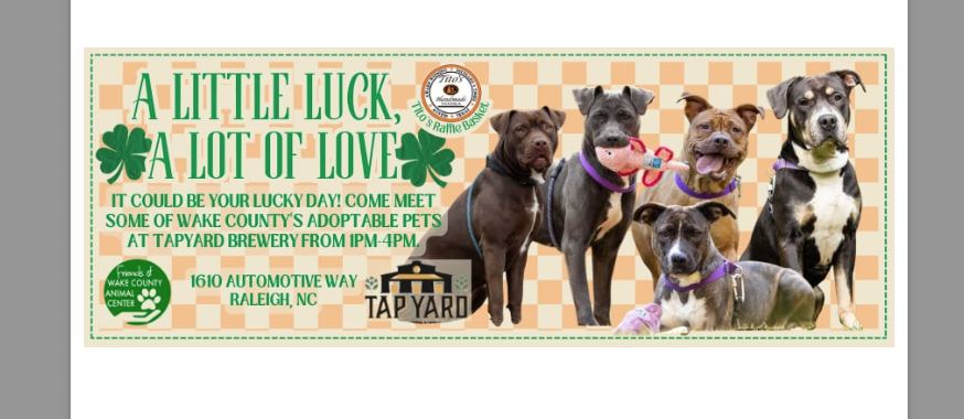Come out this Sunday March 15th to the Tap Yard Raleigh from 1pm-4pm to meet adoptable dogs from the <a href="/WakeGOVPets/">WakeGOV Pets</a> . We will also have a great raffle with Tito's Vodka and a collar from <a href="/MuttStuffnc/">Mutt Stuff</a> 

facebook.com/events/1431695…
#dogs #beer #vodka #adoptme #Raleigh #dogcollar