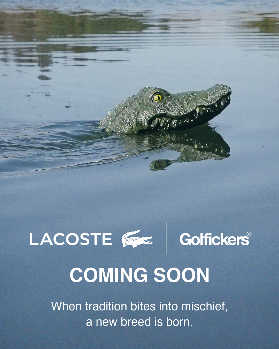 LACOSTE JAPAN | ラコステ ジャパン on X: 