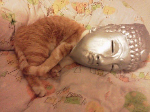 moth grinder (@senpakueyes) on Twitter photo 